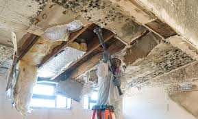 Best Water Damage & Mold Remediation  in Dover, OH